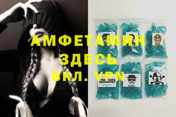 мяу мяу мука Аркадак